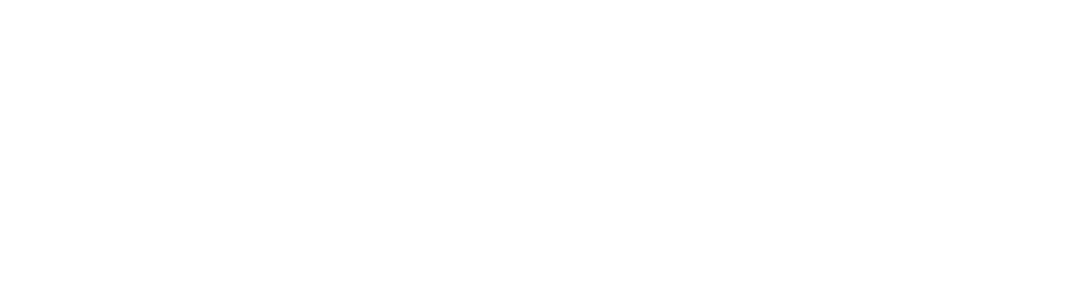 METACOMETA_logo_neg